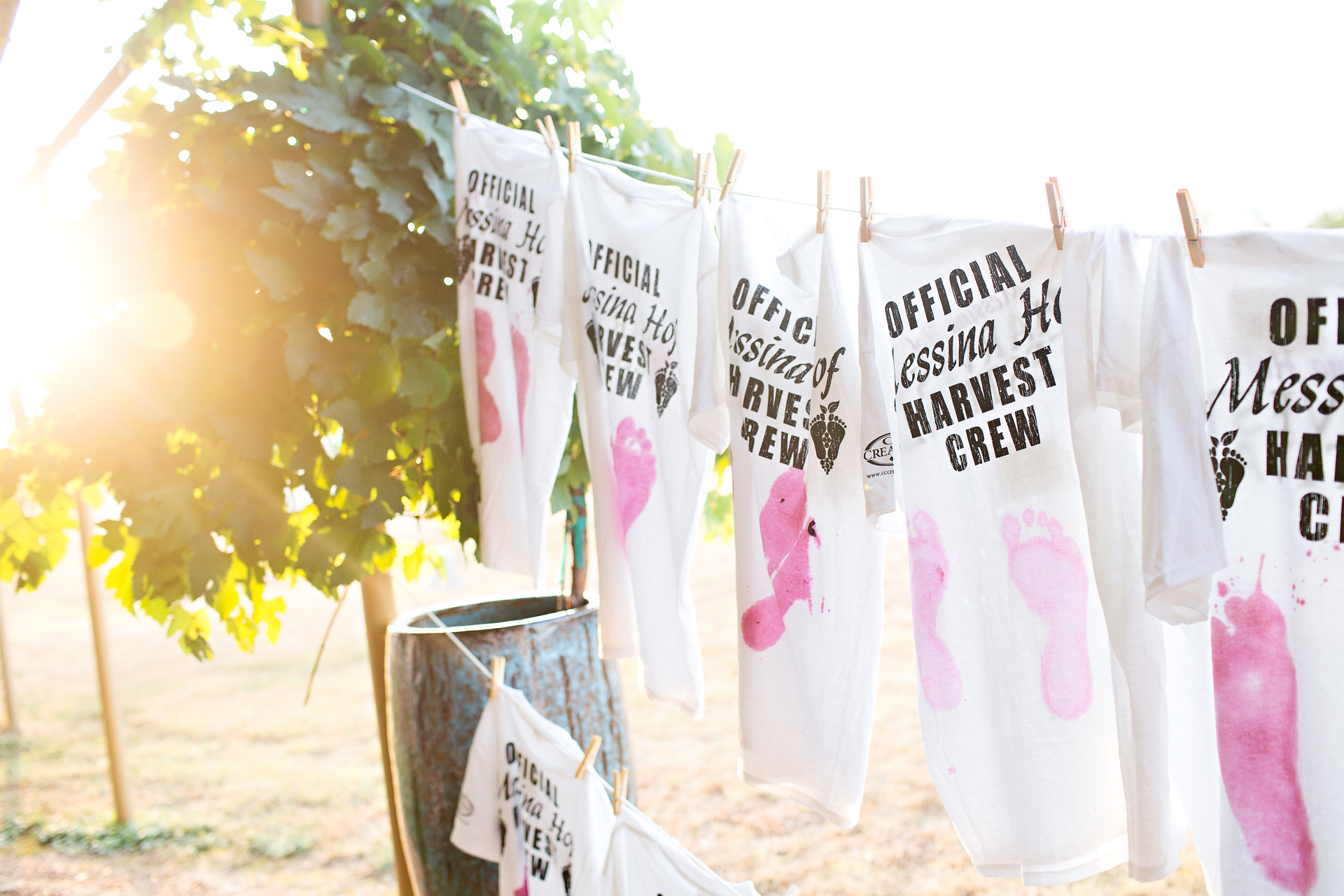 It’s Time for the 46th Harvest Festival!